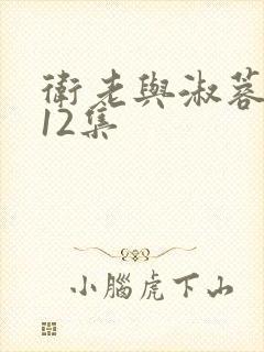 卫老与淑蓉8—12集