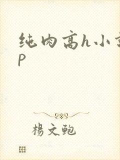 纯肉高h小说np