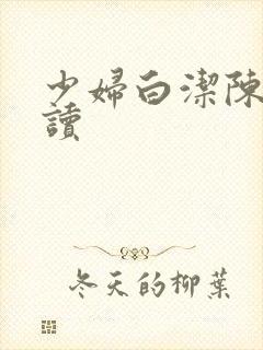 少妇白洁陈三阅读