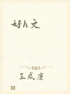 好h文