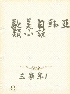 欧美日韩亚洲另类小说