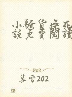 小骚货操死你小说免费阅读