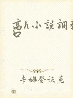 高h小说调教重口封面