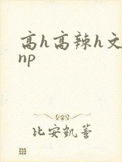 高h高辣h文乱np