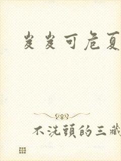 岌岌可危夏小正封面