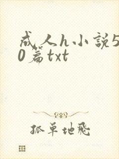 成人h小说500篇txt封面