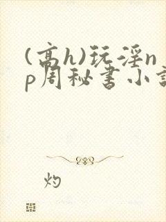 (高h)玩淫np周秘书小说封面