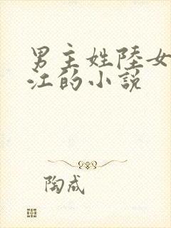 男主姓陆女主姓江的小说封面