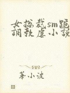 女总裁sm跪爬调教虐小说