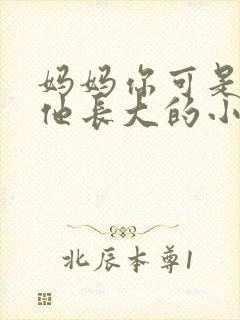 妈妈你可是看着他长大的小说