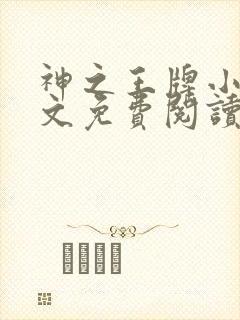 神之王牌小说全文免费阅读最新章节封面