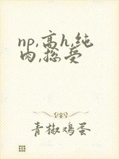 np,高h,纯肉,总受封面