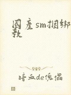 国产sm捆绑调教封面