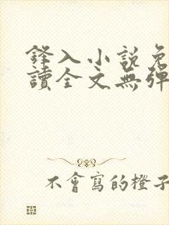 锋入小说免费阅读全文无弹窗