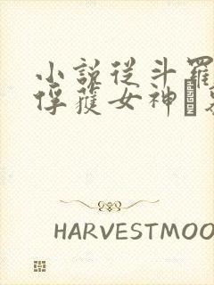 小说从斗罗开始俘获女神鞪慕完全版封面