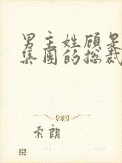 男主姓顾是顾氏集团的总裁封面