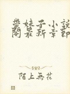 带妹子小说笔趣阁最新章节更新时间