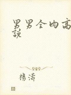 男男全肉高h小说