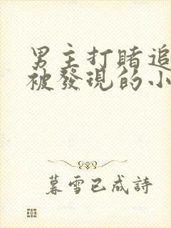 男主打赌追女主被发现的小说