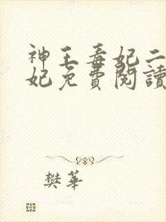 神王毒妃二嫁王妃免费阅读全文
