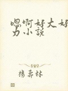 嗯啊好大好深用力小说封面