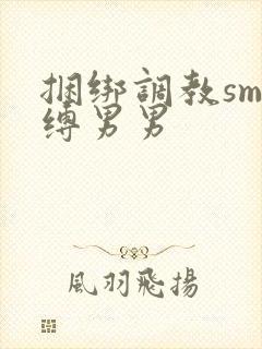 捆绑调教sm束缚男男