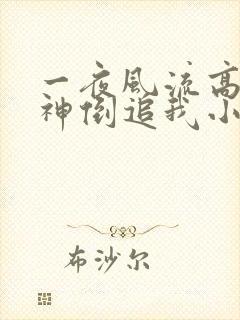 一夜风流高冷女神倒追我小说免费阅读无弹窗