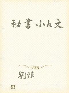 秘书小h文封面