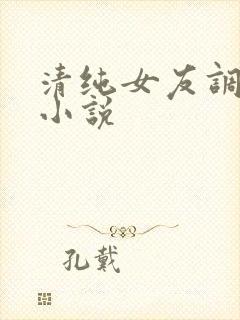 清纯女友调教我小说封面
