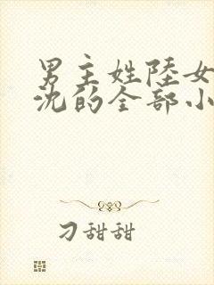 男主姓陆女主姓沈的全部小说