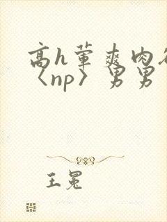 高h荤爽肉欲文〈np〉男男