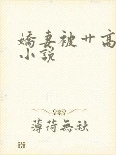 娇妻被艹高潮的小说