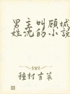 男主叫顾城女主姓沈的小说