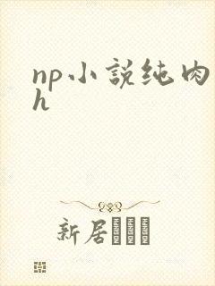 np小说纯肉高h