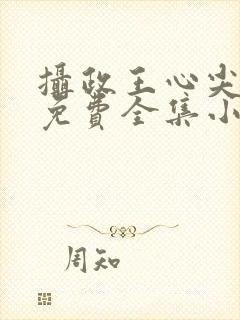 摄政王心尖宠妃免费全集小说