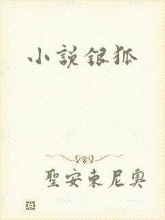 小说银狐
