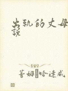 出轨的丈母娘小说封面