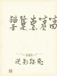 猫发出咕咕的声音是怎么回事