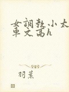 女调教小太正肉车文高h