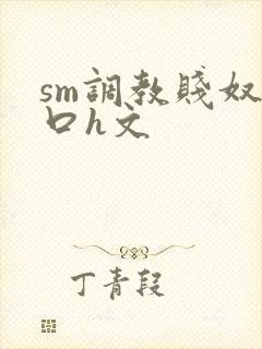 sm调教贱奴重口h文