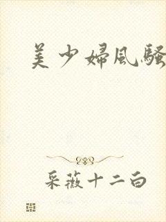 美少妇风骚小说封面