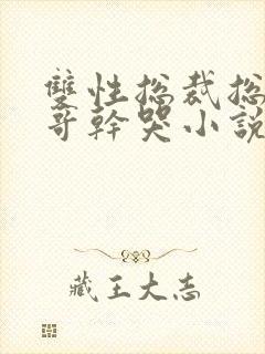 双性总裁总被哥哥干哭小说封面