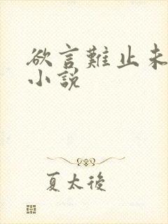 欲言难止未删减小说