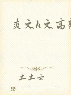 爽文h文高辣h封面