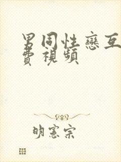 男同性恋互操免费视频