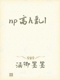 np高h乱l