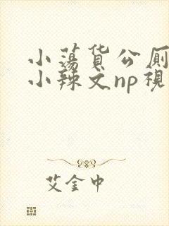 小荡货公厕h文小辣文np视频