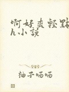 啊好爽轻点啊嗯h小说