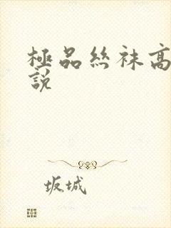 极品丝袜高h小说