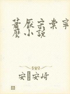 萧厌宋棠宁是什么小说封面